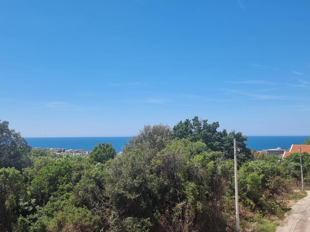 Mina Bar